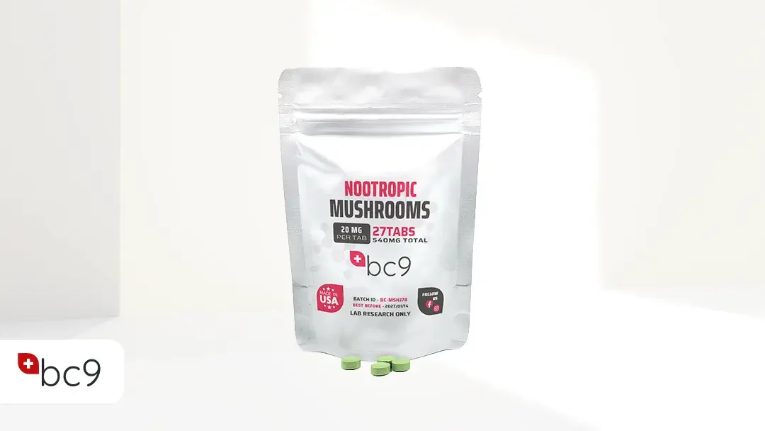 Nootropic Mushrooms