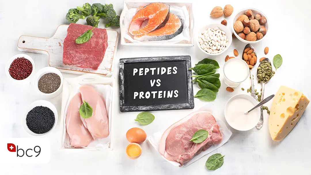 Peptides and proteins